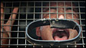 A Tibetan monk yells from a police van after his arrest in Katmandu, Nepal, 29 April 2008