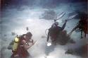 Scuba Scouts