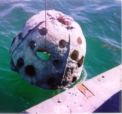 Reef Ball Being Deployed