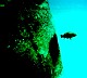 underwater1.jpg
