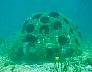 cancunuw19.jpg