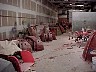 mvc005f1.jpg