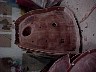 mvc012f.jpg