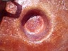 mvc014f.jpg