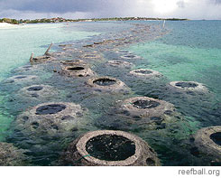 [Shown at low tide, the breakwater helps  reduce beach erosion.]