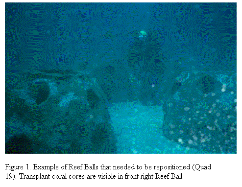 Text Box:  

Figure 1. Example of Reef Balls that needed to be repositioned (Quad 19). Transplant coral cores are visible in front right Reef Ball. 




