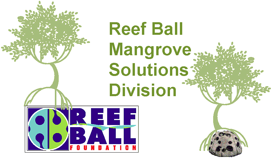 Reef Ball Red Mangrove Recovery Solutions Division